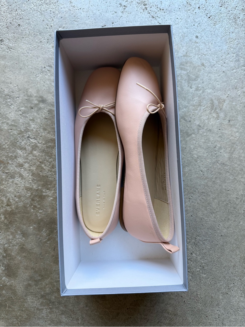 Everlane Blush Pink Leather Ballet Flats